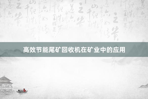 高效节能尾矿回收机在矿业中的应用